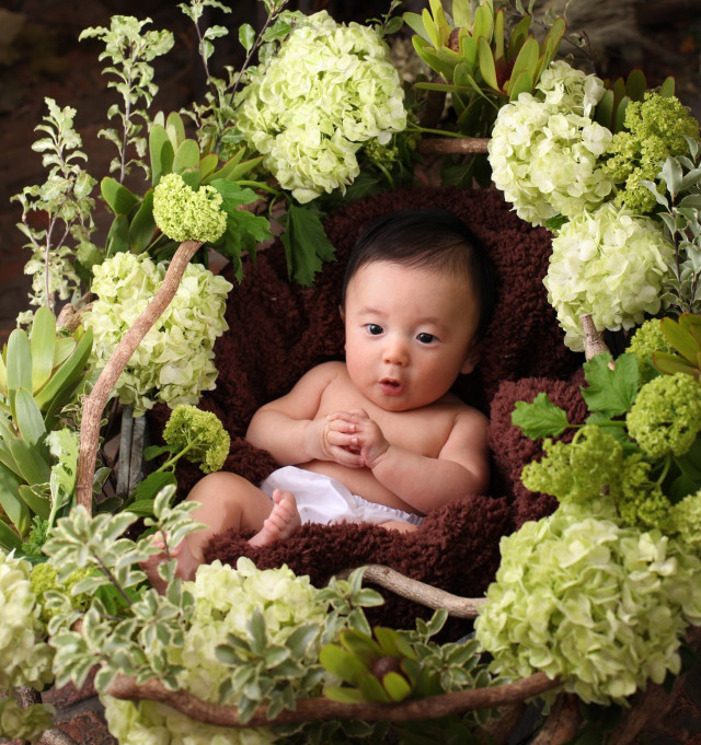 ニューボーンフォト